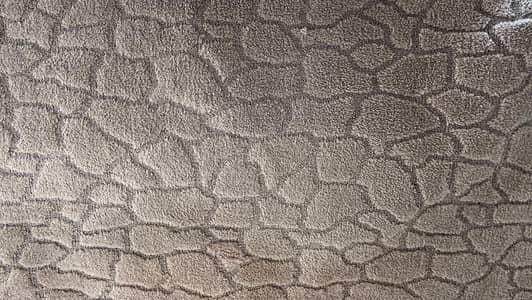 New Carpet for sale