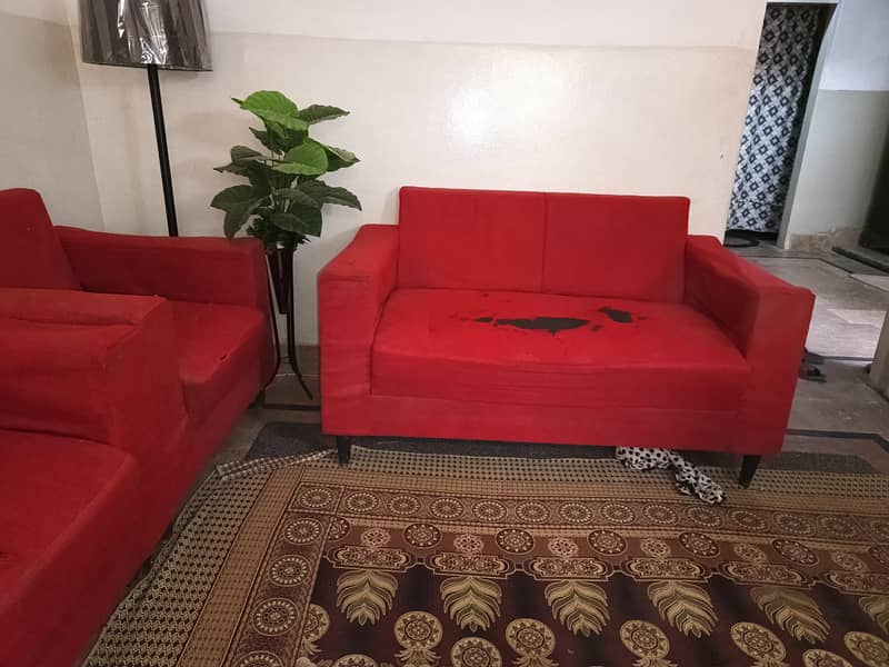7 seater 3