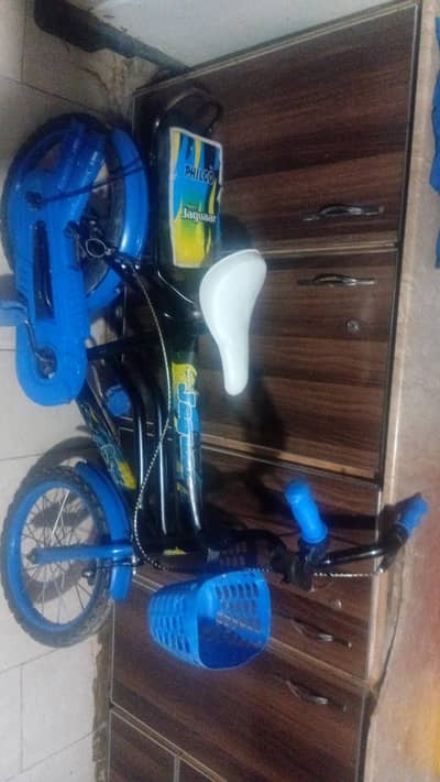 cycle baby
