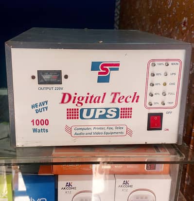UPS 1000W