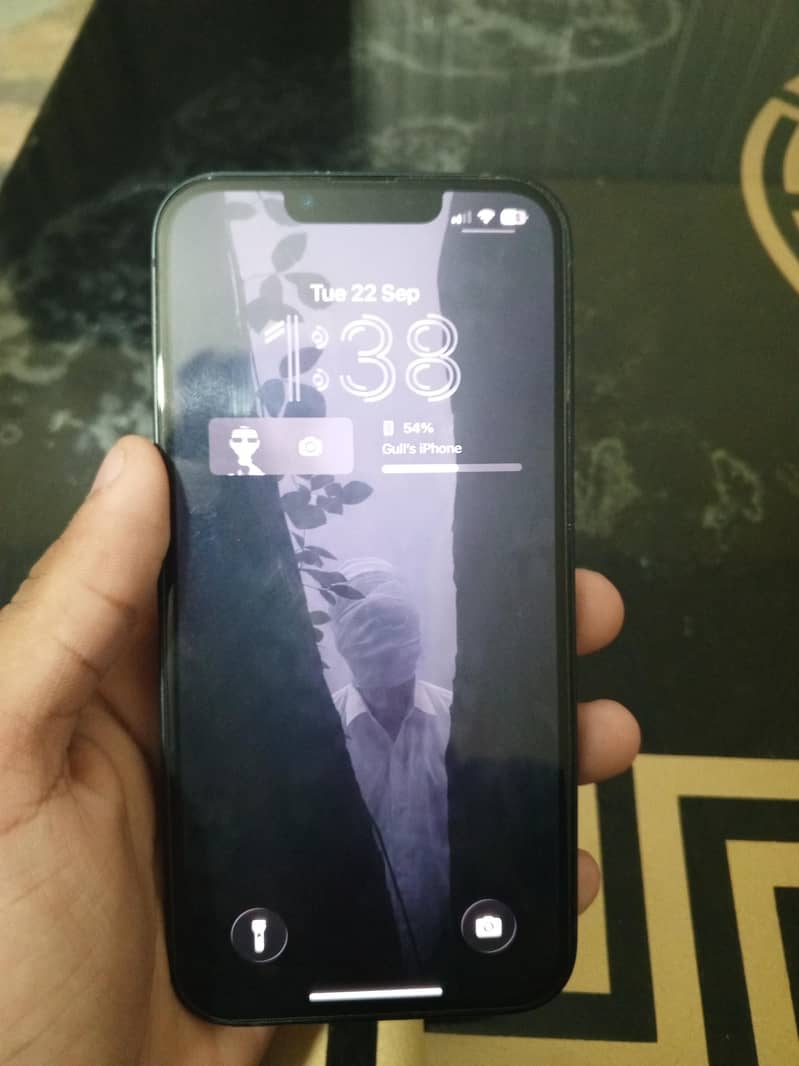 Apple iPhone 13 0