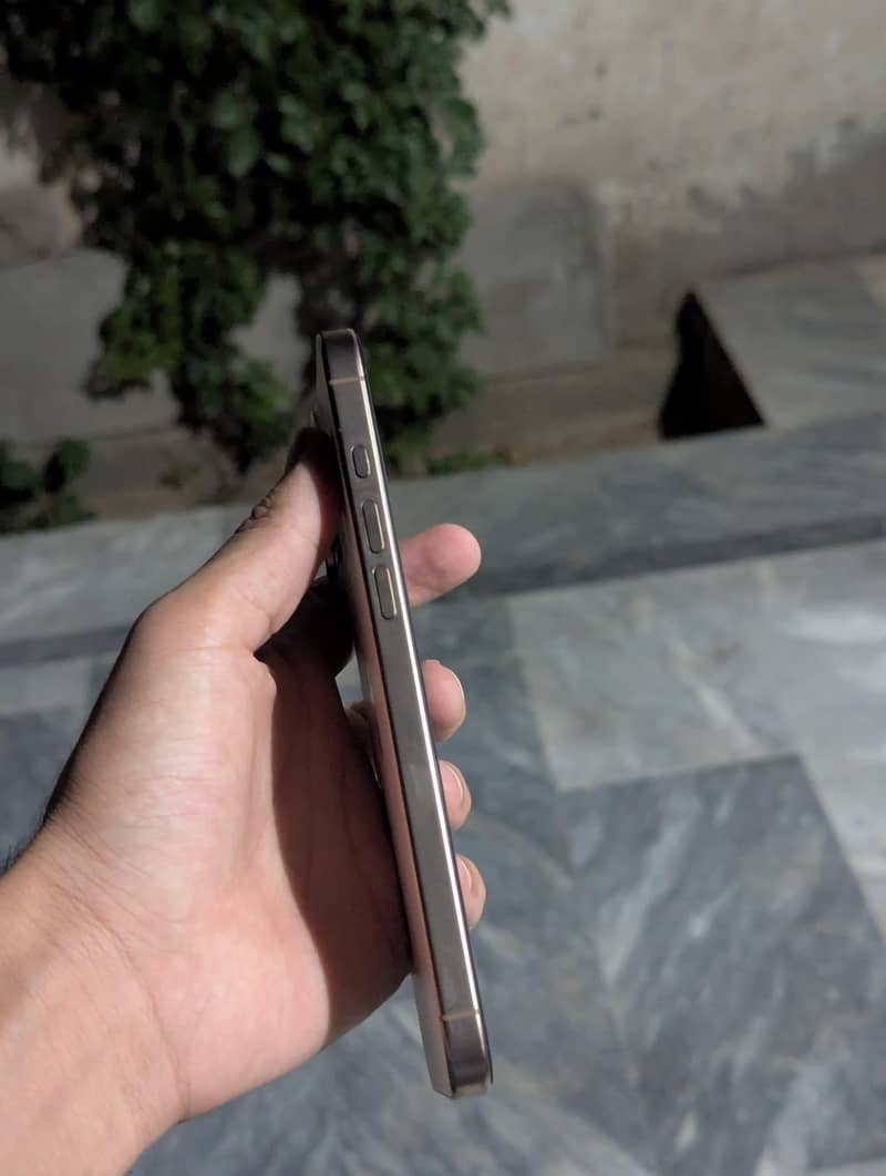 Apple iPhone 16 Pro Max 1