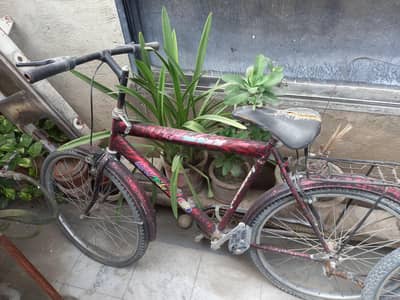 cycle