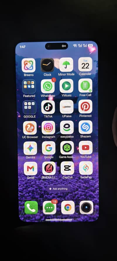 Realme GT 6 Chines 12/256
