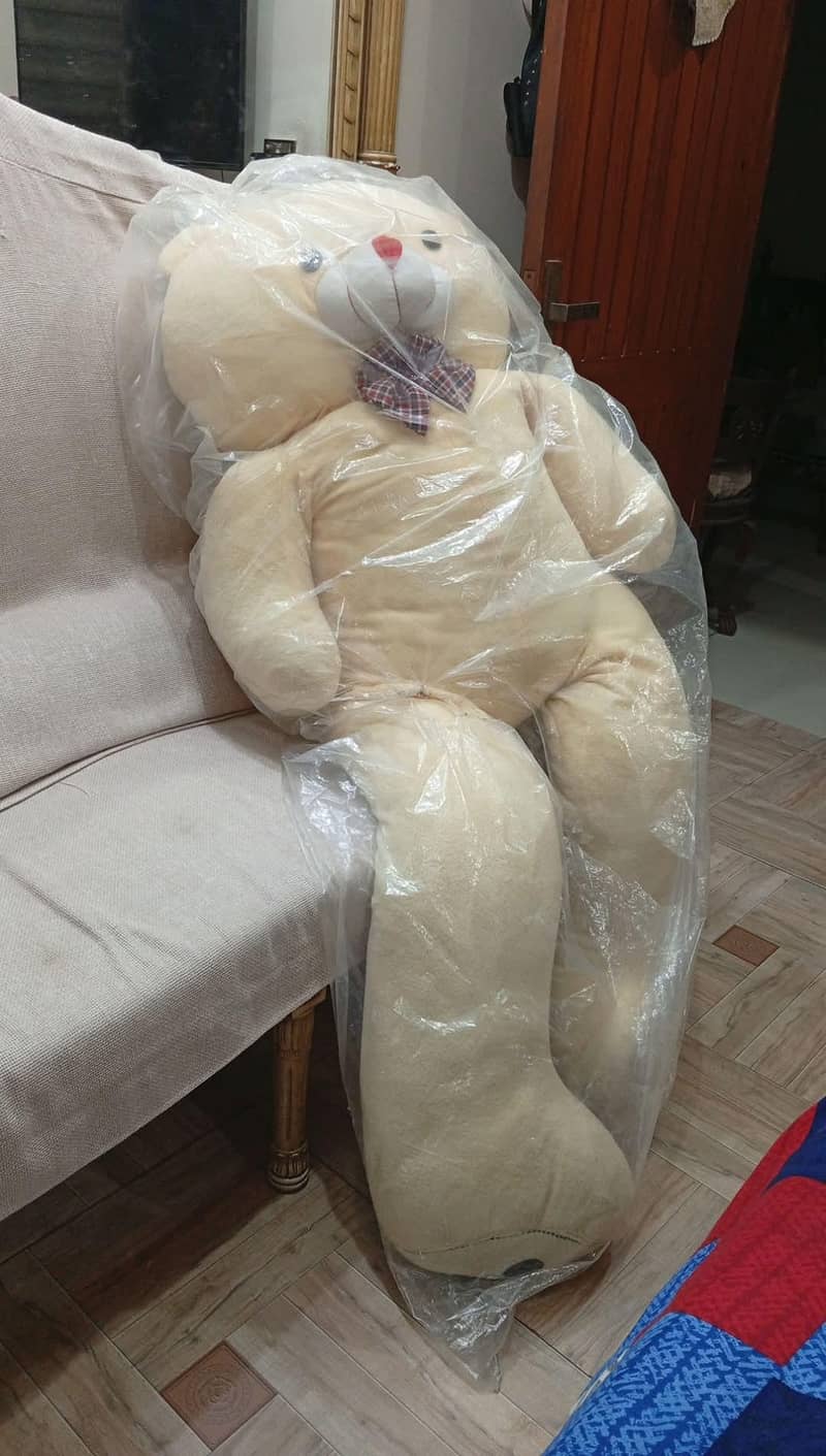 teddy 1