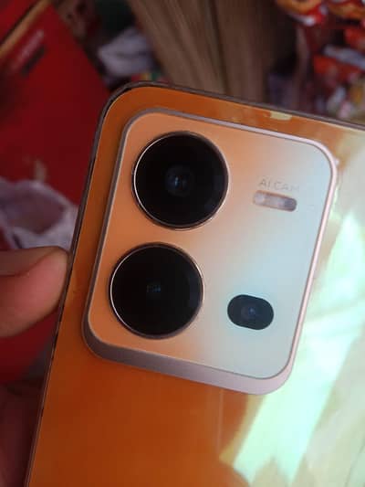 Vivo V25e