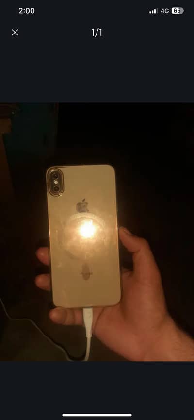 Apple iPhone X