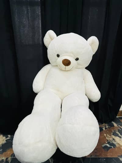 Beautiful White Teddy
