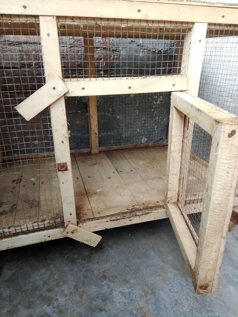 Big Wooden Cage 3×2 Feet + Chhota Cage FREE | Murghon Ke Liye — photo 5