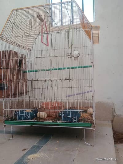 Good quality cage without next box