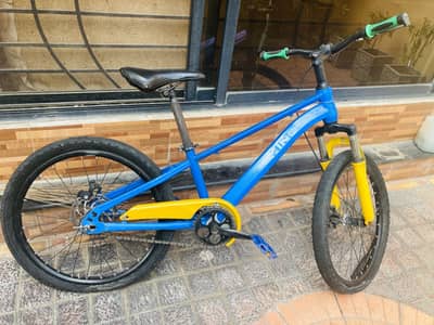 GG KING CYCLE