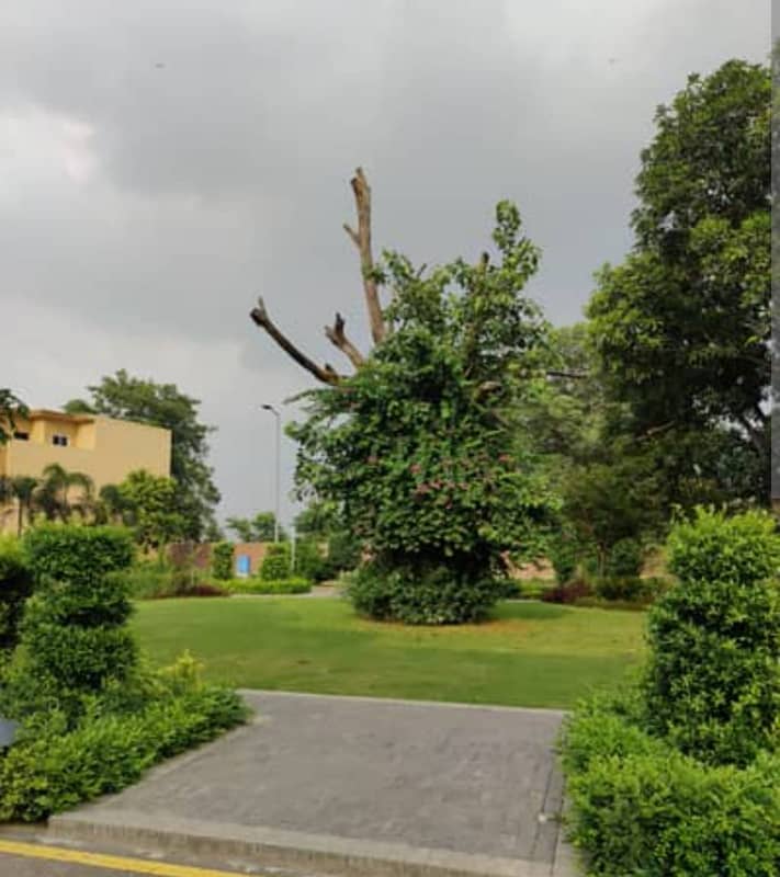 13 Marla top Location plot 3