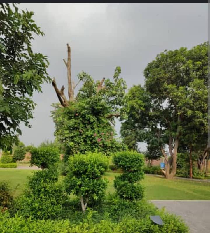 13 Marla top Location plot 4