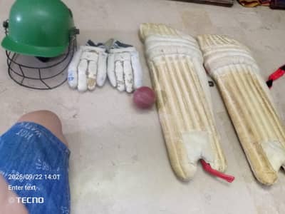 cricket kit 03131148446 is my WhatsApp number