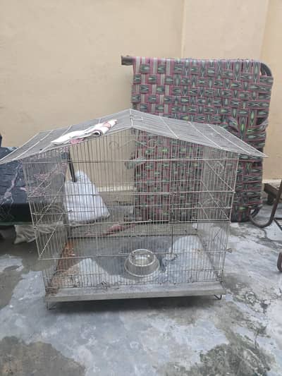 Bird Cage for Sale | Heavy Duty Steel Bottom