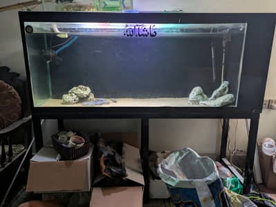 5 feet aquarium