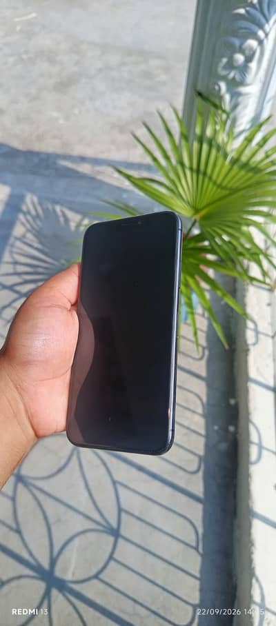 Apple iPhone X