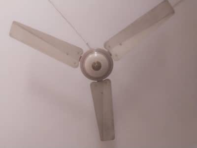 ceiling fans