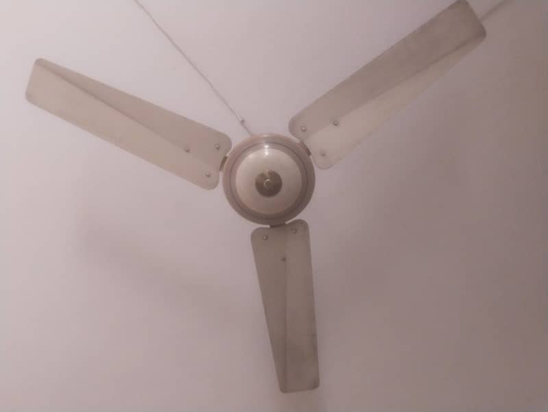 ceiling fans 0