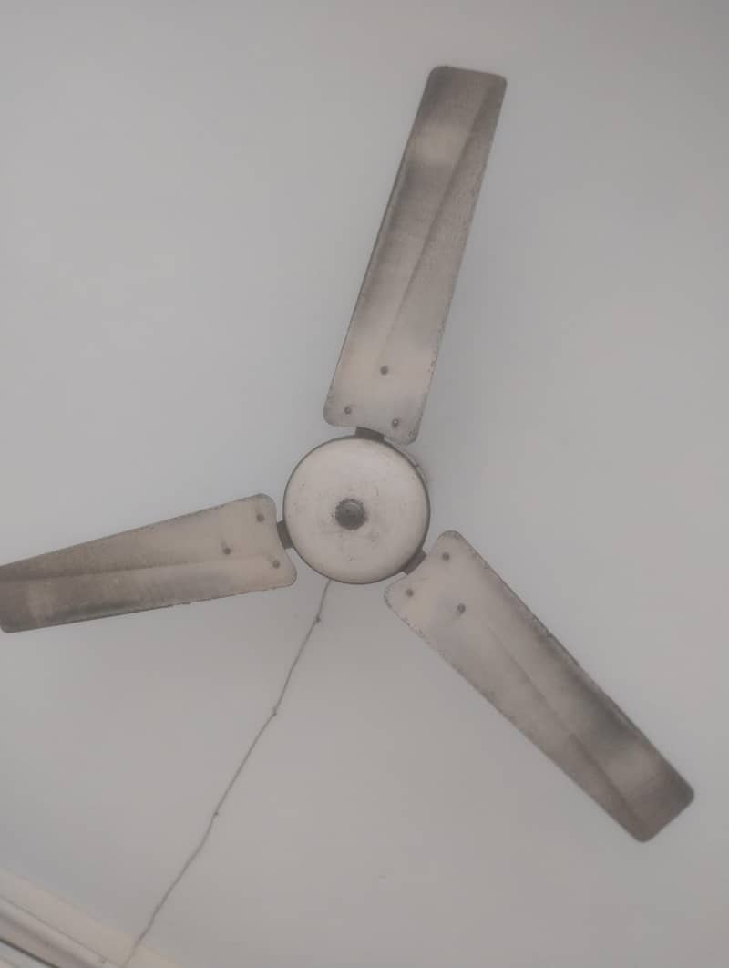 ceiling fans 1
