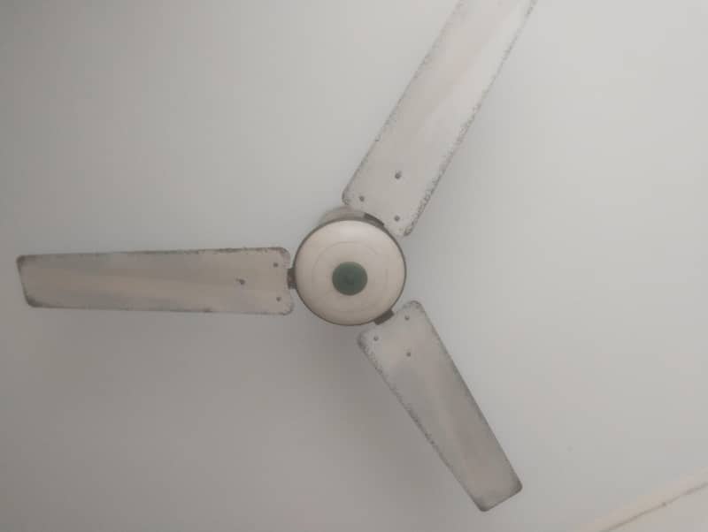 ceiling fans 2