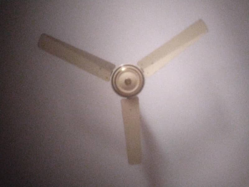 ceiling fans 3