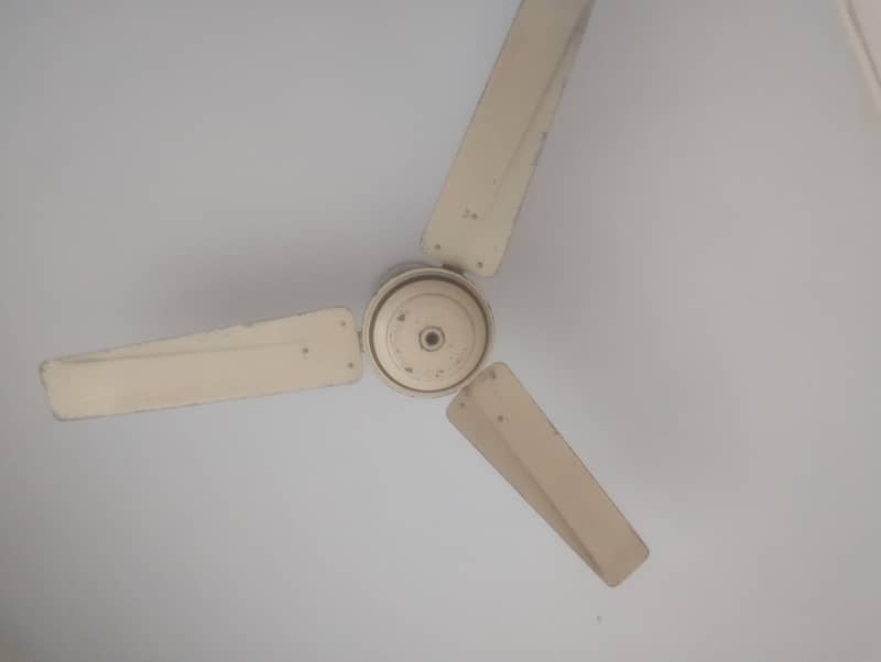 ceiling fans 4