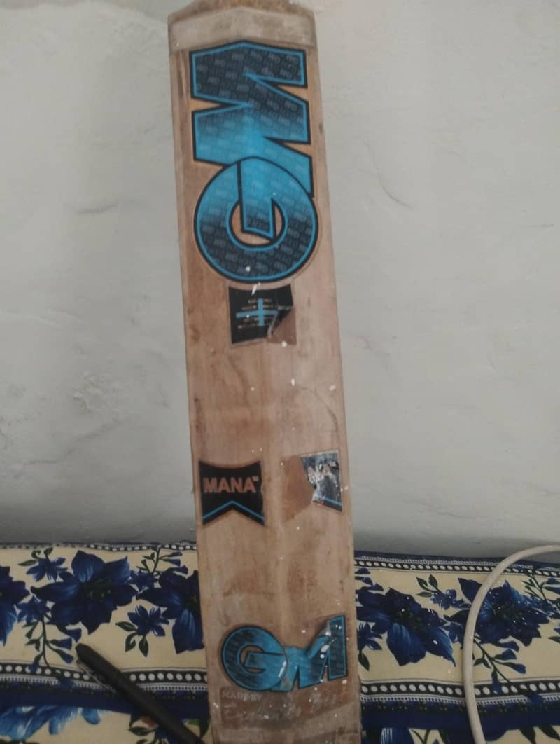 Hardball bat 1