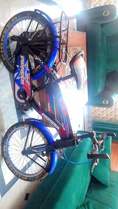 Pioneer Bicycle