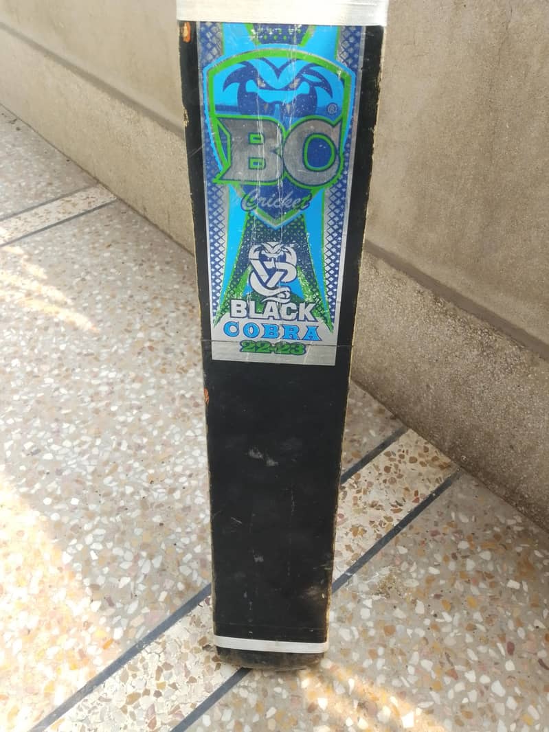 Bat Binding 2