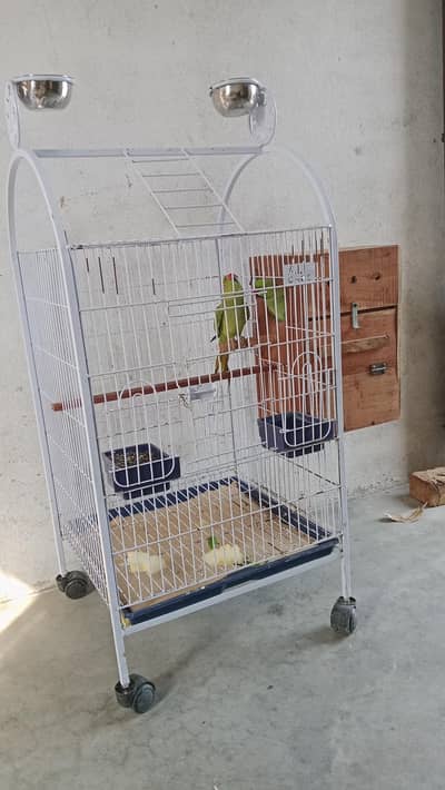 cage for sale