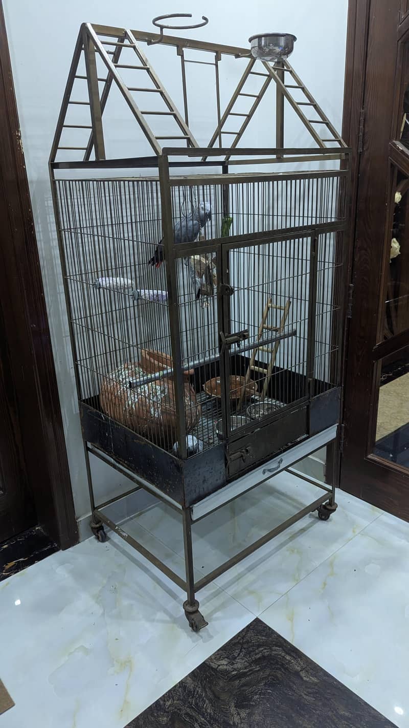 pet cage 1