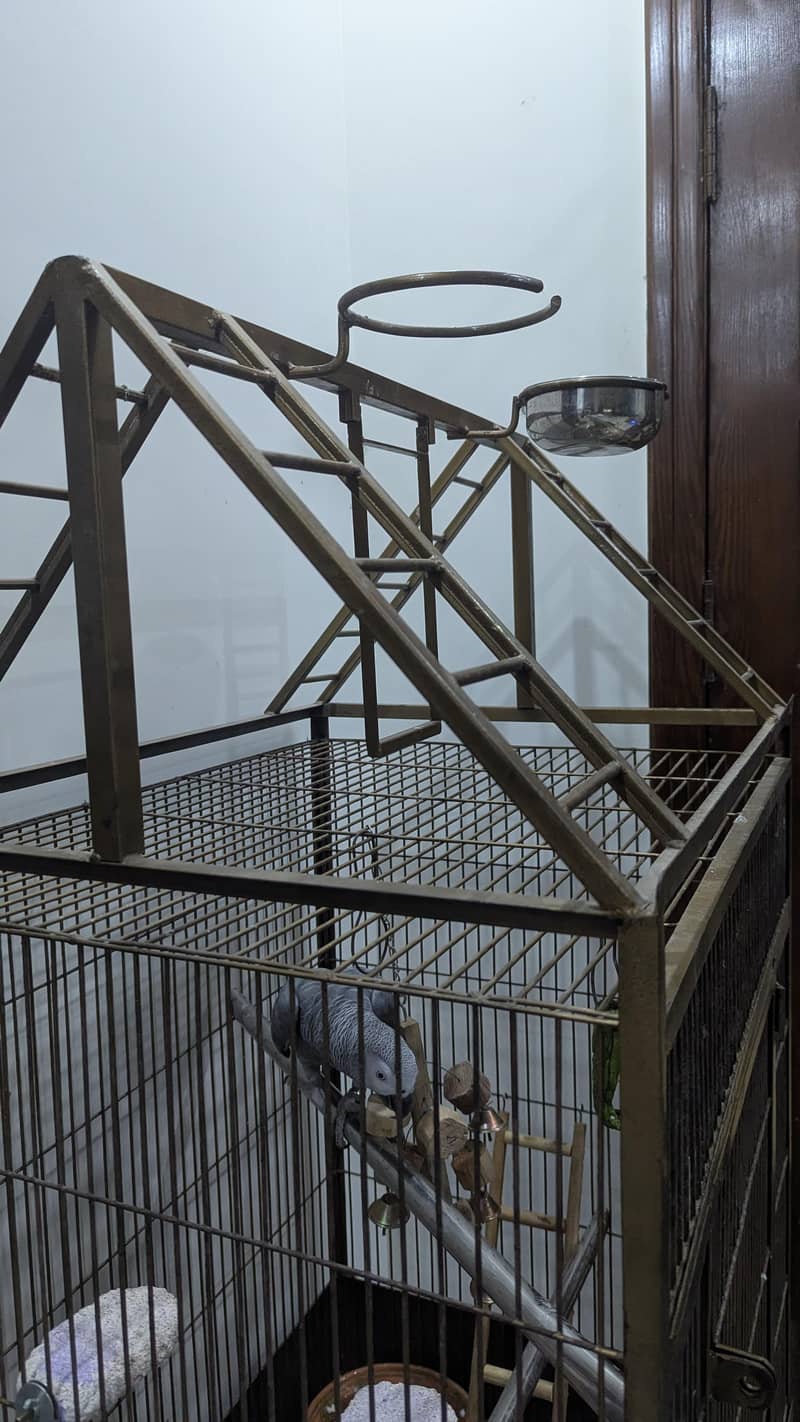 pet cage 2