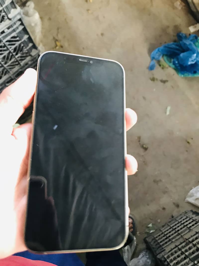 Apple iPhone 12 Pro Max 1