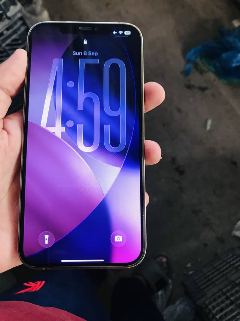 Apple iPhone 12 Pro Max 2