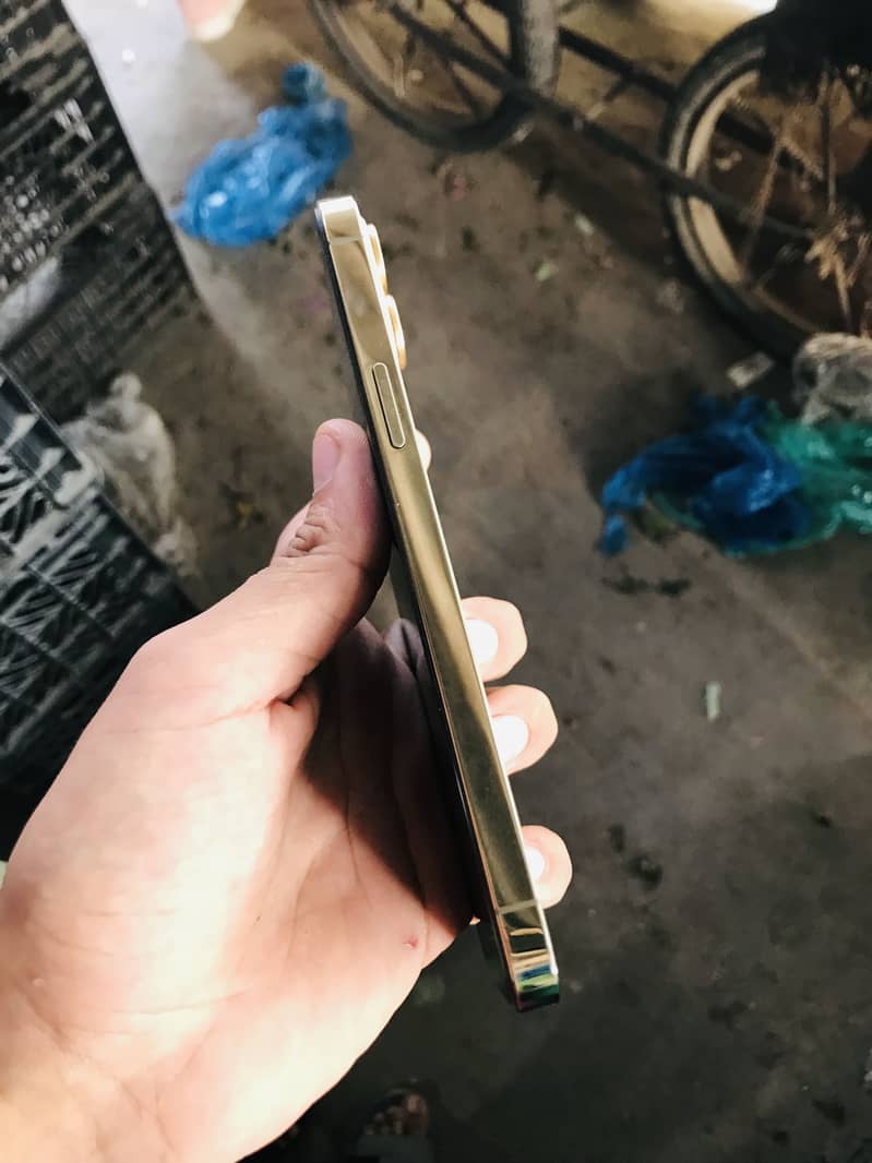 Apple iPhone 12 Pro Max 4