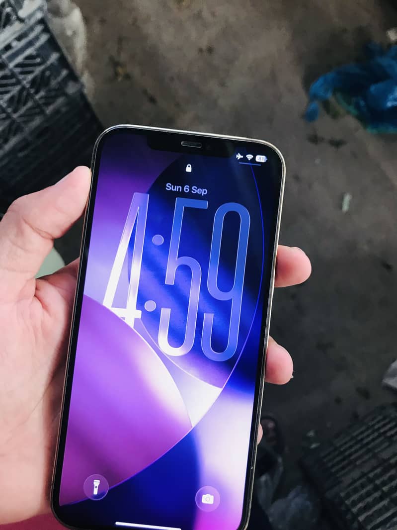 Apple iPhone 12 Pro Max 5