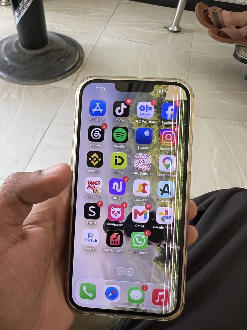 Apple iPhone 13 Pro Max 1