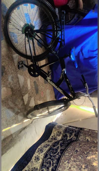 Bicycle for sale