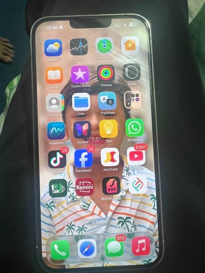 Apple iPhone 13 Pro Max