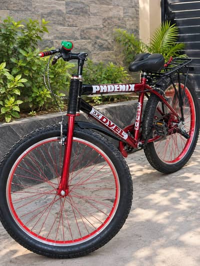 Bicycle Phoenix