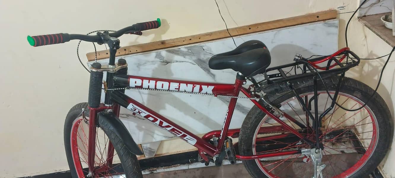 Bicycle Phoenix 1