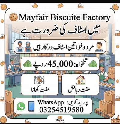Mayfair busicuit factory staff required male female job available