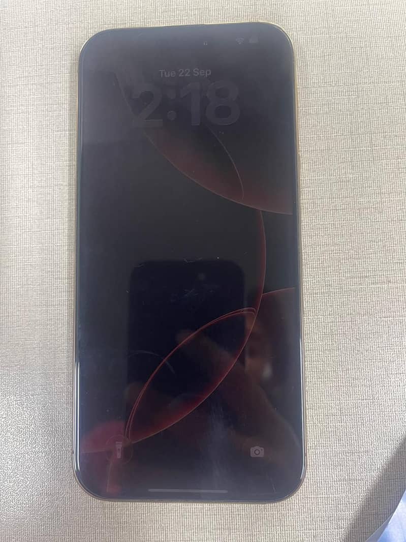 Apple iPhone 16 Pro Max 1