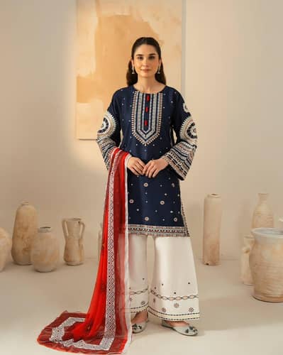 3 piece pcs embroidery dress new Winter