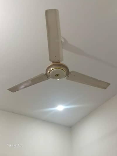 selling fan 5 for sale