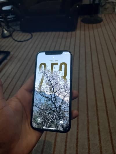 Apple iPhone 12 Pro