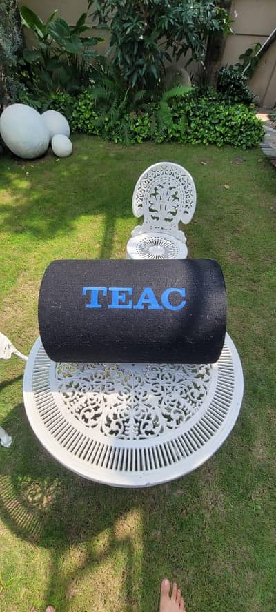 TEAC Heavy Duty Car Subwoofer Tube – Built-in Amplifier & Deep Bass