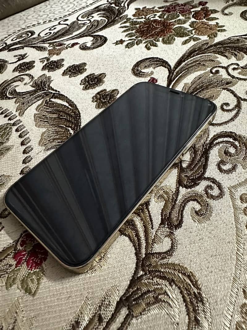 Apple iPhone 12 Pro 4