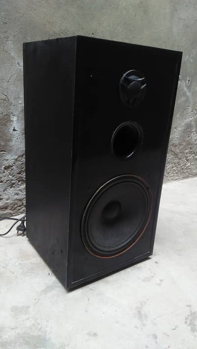 Bluetooth speaker 10 inch